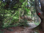 Rif. Alpe Cantedoldo (1500 m) dal Ponte dell’acqua via Gambetta -11 settembre 2023- FOTOGALLERY